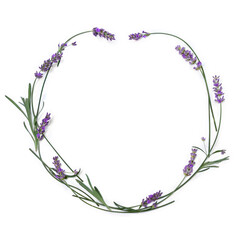 Frame of violet lilac flowers lavender on white background with space for text. Top view, flat lay