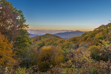 Naklejka premium Fall Colors in the Mountains