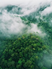 Aerial view of dark green forest with misty clouds. The rich natural ecosystem of rainforest concept of natural forest conservation and reforestation - generative ai