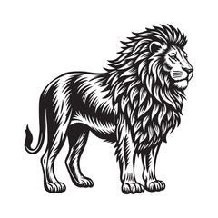 Vector hand drawn black white lion