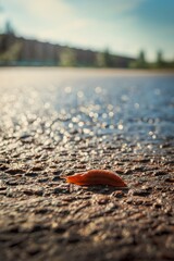 A slug crawls across the road on a sunny morning. Selective focus. Vertical view.