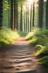 Obraz premium Summer sunny forest with coniferous trees and sunlight