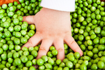 Child hand playing with a pile of fresh green peas on a wooden surface.