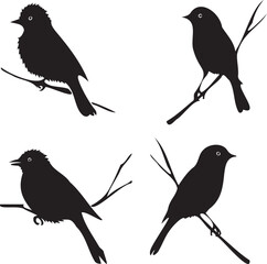 Black silhouette bird on branch on white background