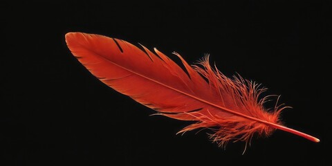 A single, red bird feather is isolated against a black background. The feather is soft and fluffy