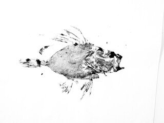 Print of Dory fish in gyotaku technique