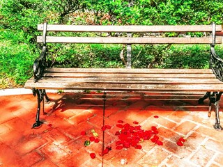 Wooden Park Bench with Rose Petals