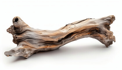 Obraz premium driftwood log isolated on white