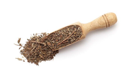 Top view of a wooden scoop filled with dry Organic Bhumi amla (Phyllanthus niruri) leaves. Isolated on a white background.