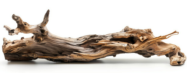 Fototapeta premium driftwood log isolated on white