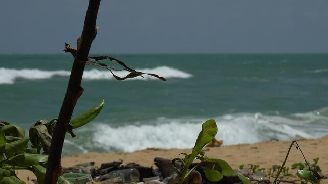 Ribbon tied on a branch of tree in stong wind with high waves in the background. 