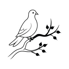 dove of peace, White dove on a branch of a tree vector illustration