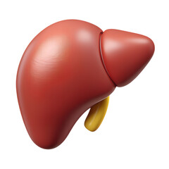 Human liver organ structure 3d icon on the transparent background