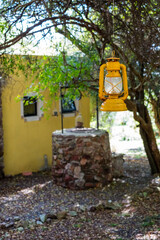 A yellow lantern hanging from a tree