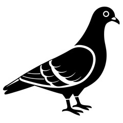 Pigeon dove bird silhouette vector art illustration