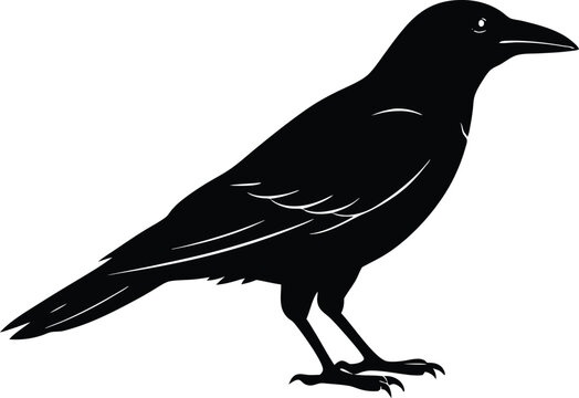 recommend clip art: crow isolated on line art vector