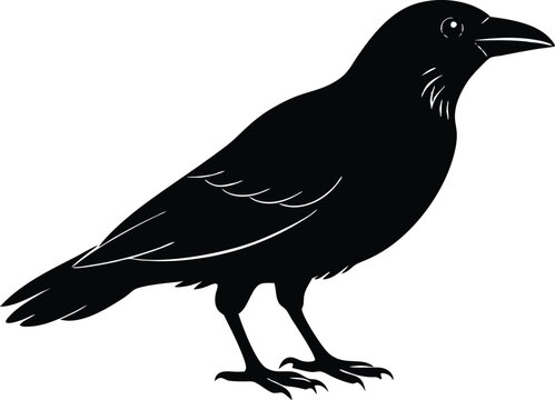 recommend clip art: crow isolated on line art vector