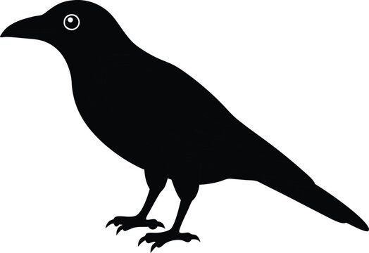 recommend clip art: crow isolated on line art vector