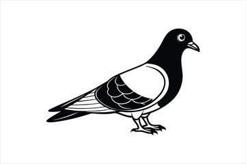 funny pigeon isolated black vector