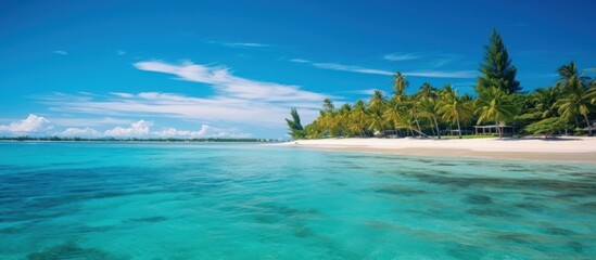 Fototapeta premium Tropical Paradise: Lush Palm Trees Frame a Pristine Beach and Crystal Clear Ocean
