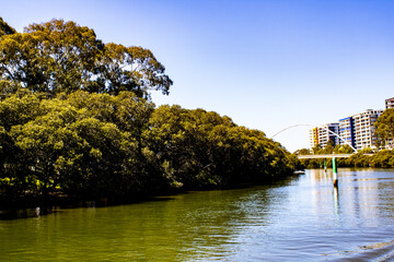 Obraz premium Scenic river view with lush greenery, trees, and architectural marvels in Parramatta, NSW, Australia. Capturing the harmony of nature and urban elegance. 