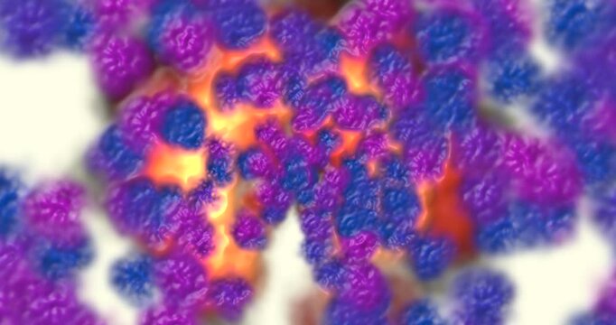 Animazione astratta di linee e cerchi con molti colori  diversi e movimenti 