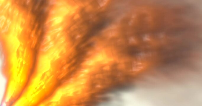 Animazione astratta di linee e cerchi con molti colori  diversi e movimenti 