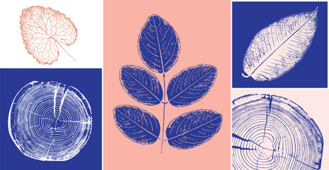Decorative leaf prints and wood block prints. Monotone pink and blue botanical impression print. © CaptureAndCompose