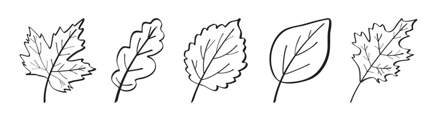 Obraz premium Set of autumn leaves drawn with one line outline. Flat doodle style. Vector illustration.