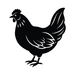 hen isolated on black vector