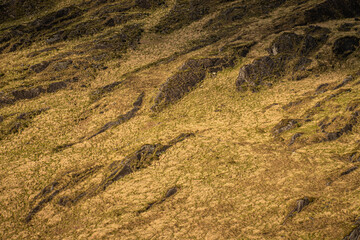 mountain hill with rocks and grass