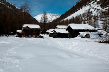 Cogne - Valle d'Aosta
