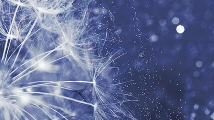 Naklejka premium A macro shot of a dandelion with dewdrops on the petals against a fuzzy backdrop