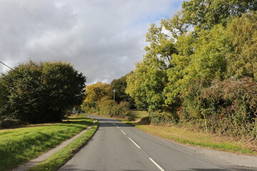 Road in the countryside