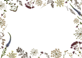 Frame of dried wildflowers and herbs isolated on white. Perfect for creating botanical cards, wedding invitations, frames, designs. Pressed floristry, oshibana. Overlay background. 