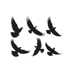 Eagle flying, Seamless pattern. silhouette illustration converted to vector.