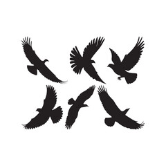 Fototapeta premium Eagle flying silhouette illustration