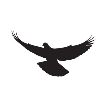 recommend clip art: Bird flying silhouette illustration