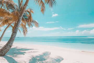 Fototapeta premium A palm tree is on the beach next to the ocean. The sky is blue and there are clouds in the background