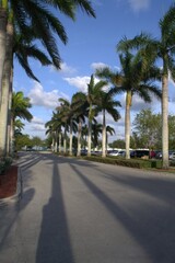 La caracteristica mas resaltante de Miami Beach,es que para donde quieras que mires vas a encontrar el verde de la vegetacion,y el agua en todas sus formas!