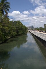 La caracteristica mas resaltante de Miami Beach,es que para donde quieras que mires vas a encontrar el verde de la vegetacion,y el agua en todas sus formas!