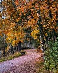 Fototapeta premium Autumn in Lillehammer: Explore the vibrant fall foliage and historic charm of Maihaugen. Experience Norway's cultural heritage amidst stunning autumn landscapes.