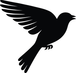 Bird Vector Silhouette Illustration