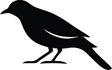 Bird Vector Silhouette Illustration