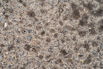 tło z naturalnego omszałego drzewa z korą