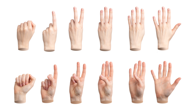 Hands counting, fingers count from different back and front sides, from null, one to five, isolated on white background., transparent PNG