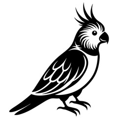 Bird Vector Illustration