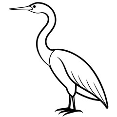 Bird Vector Illustration