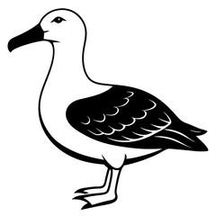 Bird Vector Illustration