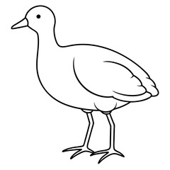 Bird Vector Illustration